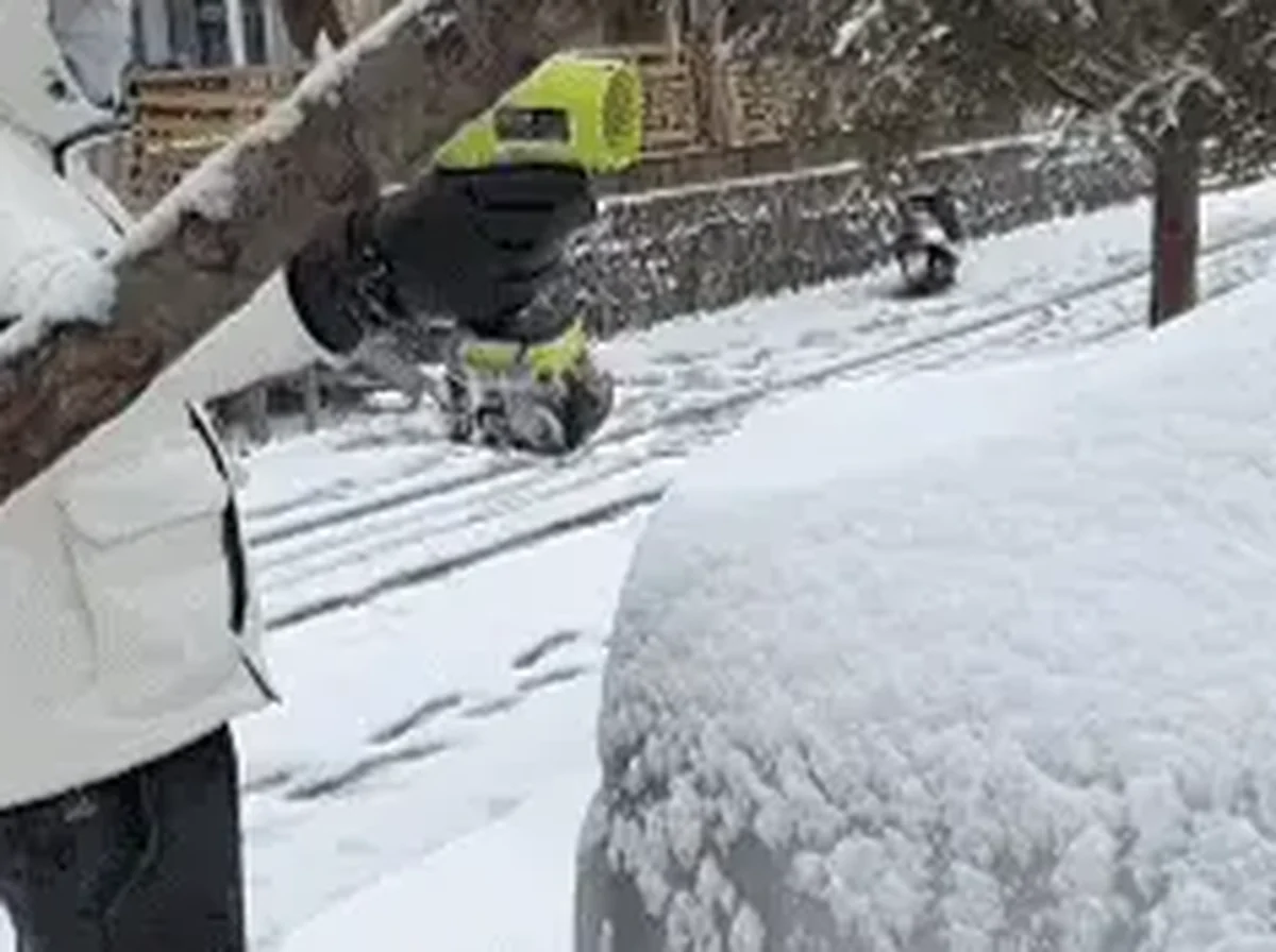 SEES ProX™ 2.1 lb Portable Cordless Handheld Leaf, Snow & Debris Blower Everyday Experience